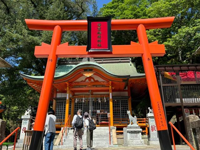 若宮稲荷神社の参拝記録9