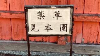 薬園八幡神社の参拝記録(すったもんださん)