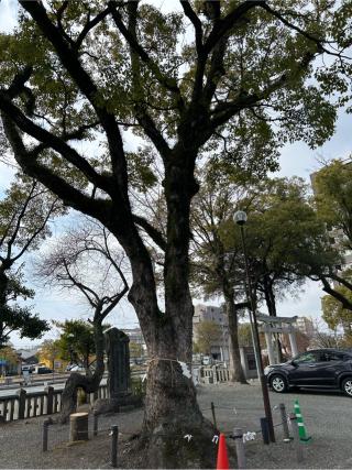 若宮八幡社の参拝記録(B4-61さん)