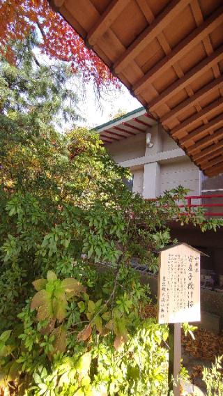 差出磯大嶽山神社の参拝記録(ステイさん)