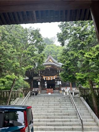 下田八幡神社の参拝記録(ドグマさん)