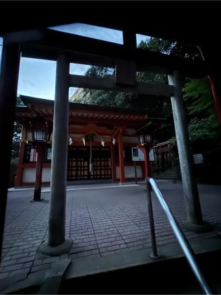 金光稲荷神社（広島東照宮境内社）の参拝記録(こーちんさん)