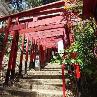 金光稲荷神社（広島東照宮境内社）の参拝記録(トマトさん)