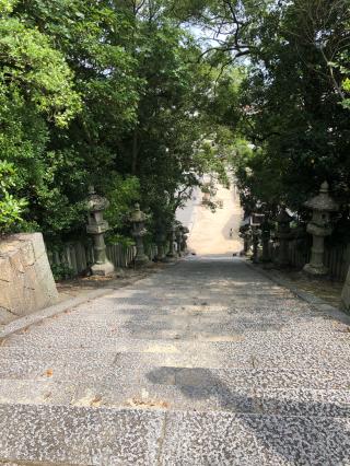 神田神社の参拝記録(あくんさん)