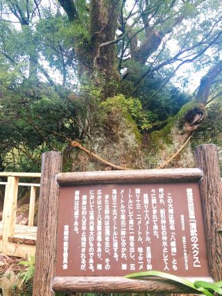 船引神社の参拝記録( 14th moonさん)