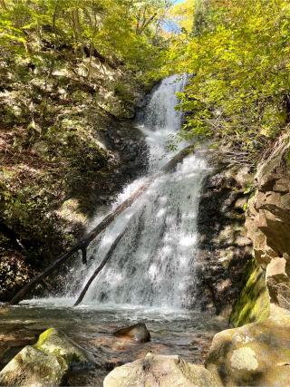 若子神社の参拝記録(KUMIKOさん)