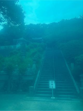 観音寺(四国第六十九番)の参拝記録(桃太郎さん)