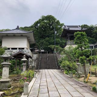 観音寺(四国第六十九番)の参拝記録(ワヲンさん)