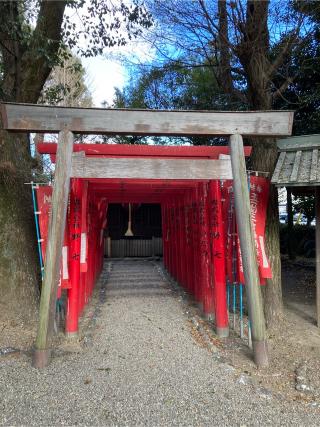 三吉稲荷神社（世木神社境内社）の参拝記録(恭子さん)