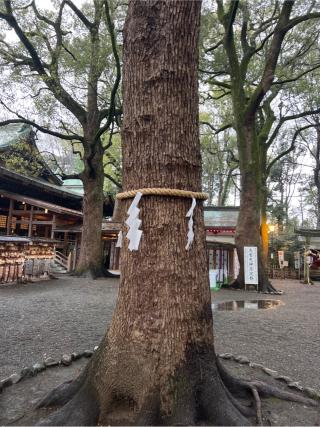 大宮天満宮(大宮八幡宮境内社)の参拝記録(⛩️🐍🐢まめ🐢🐍⛩️さん)