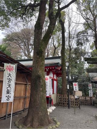 大宮天満宮(大宮八幡宮境内社)の参拝記録(⛩️🐍🐢まめ🐢🐍⛩️さん)