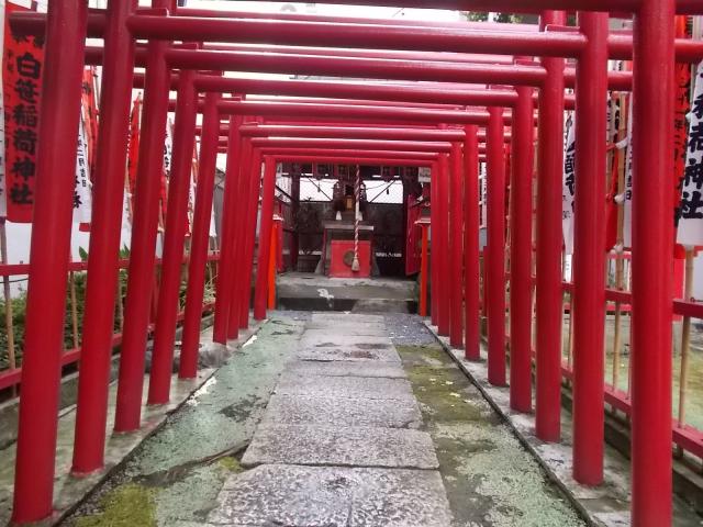 東京都江東区白河3-2 白笹稲荷神社の写真3