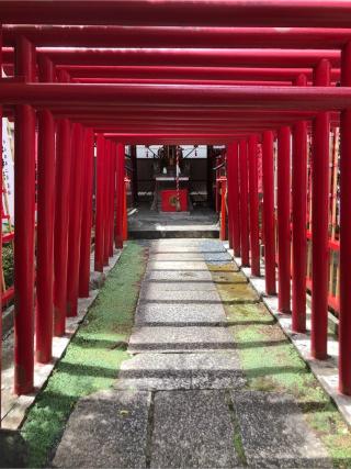 白笹稲荷神社の参拝記録(こーちんさん)