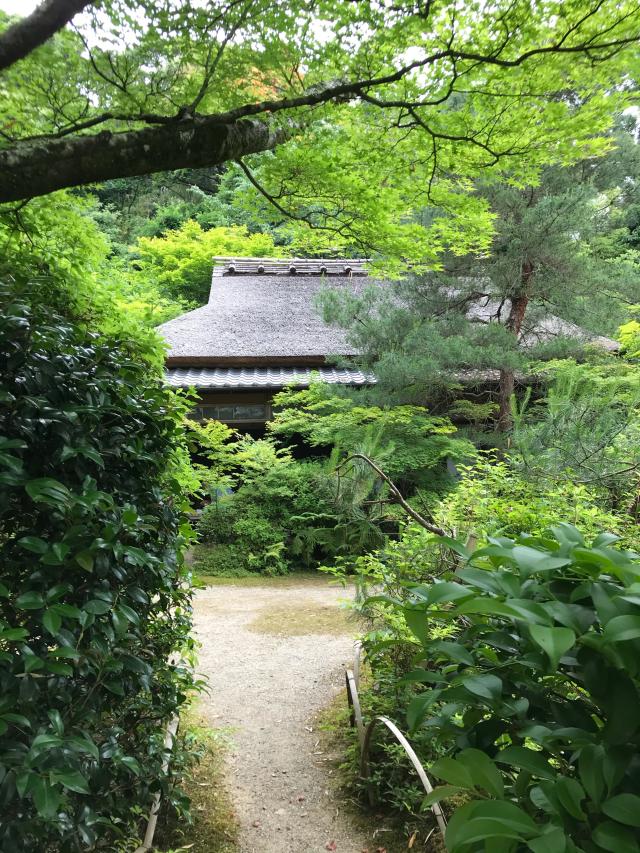 小倉山 滝口寺の参拝記録8