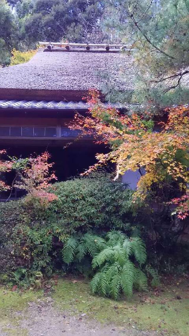 小倉山 滝口寺の参拝記録10