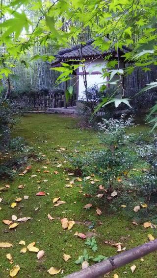 小倉山 滝口寺の参拝記録(もーさんさん)