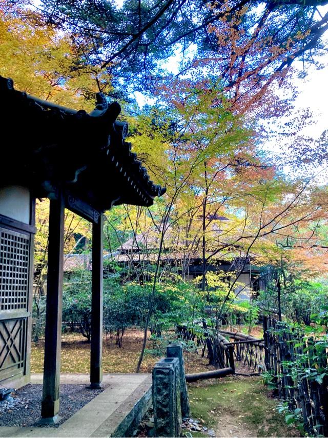 小倉山 滝口寺の参拝記録2