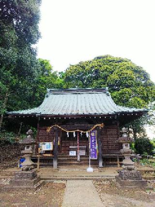 野津田神社の参拝記録(またたびさん)
