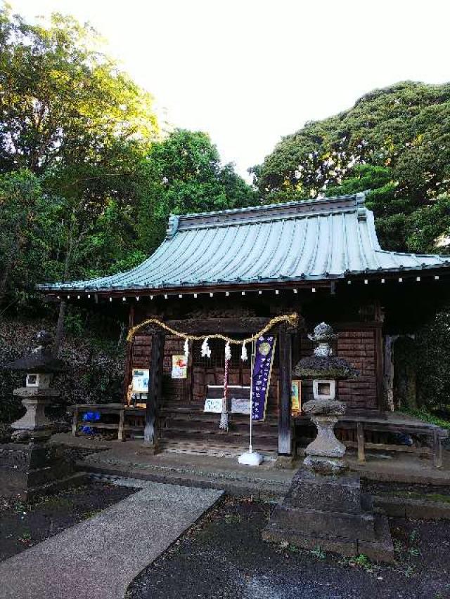 野津田神社の参拝記録(またたびさん)