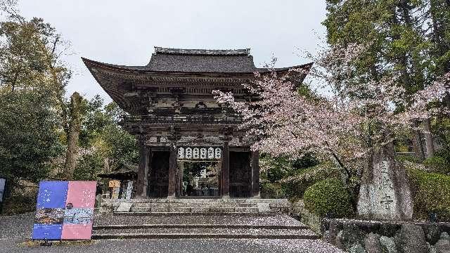 長等山 園城寺(三井寺) 釈迦堂の参拝記録6