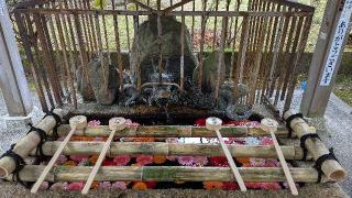 長等山 園城寺(三井寺) 釈迦堂の参拝記録(くまたろうさん)