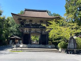 長等山 園城寺(三井寺) 釈迦堂の参拝記録(あまぞんさん)
