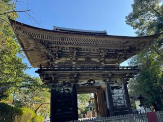 長等山 園城寺(三井寺) 釈迦堂の参拝記録(ひくさん)