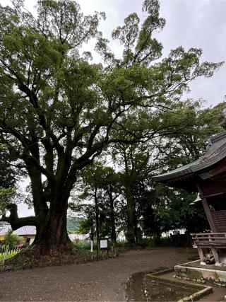 南方神社の参拝記録(ほちさん)