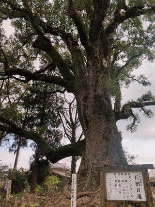 南方神社の参拝記録( 14th moonさん)