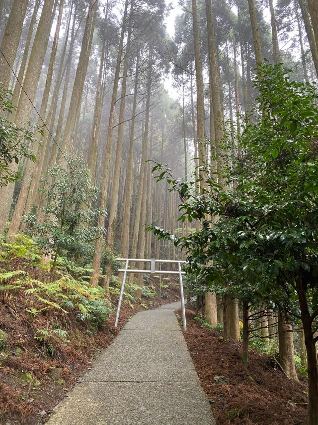 速川神社の参拝記録9