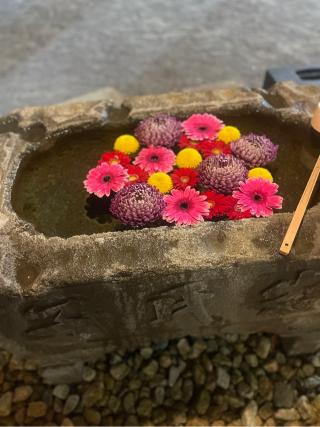 八幡神社（鵜ノ木八幡神社）の参拝記録(ハコさん)