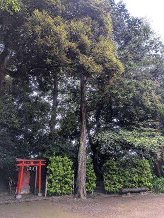 天神社の参拝記録(はくすみさん)