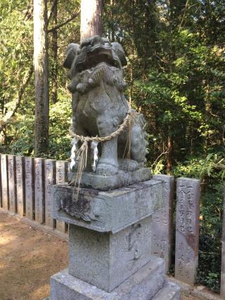 平尾八幡神社の参拝記録(睦子さん)