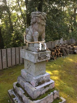 平尾八幡神社の参拝記録(睦子さん)