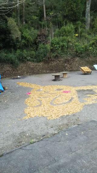 舞鶴神社の参拝記録(KARURAさん)