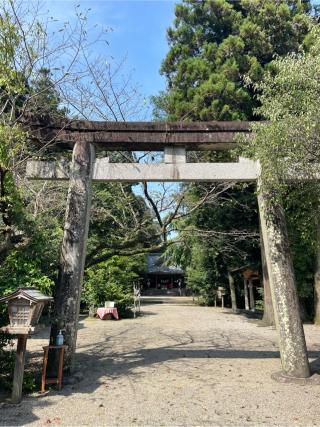 舞鶴神社の参拝記録(こうじさん)