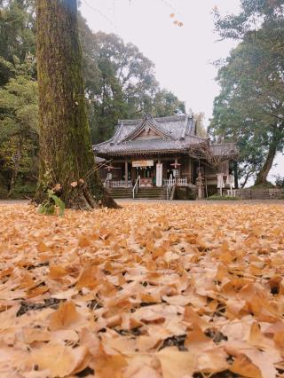 舞鶴神社の参拝記録( 14th moonさん)