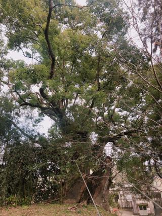 舞鶴神社の参拝記録( 14th moonさん)