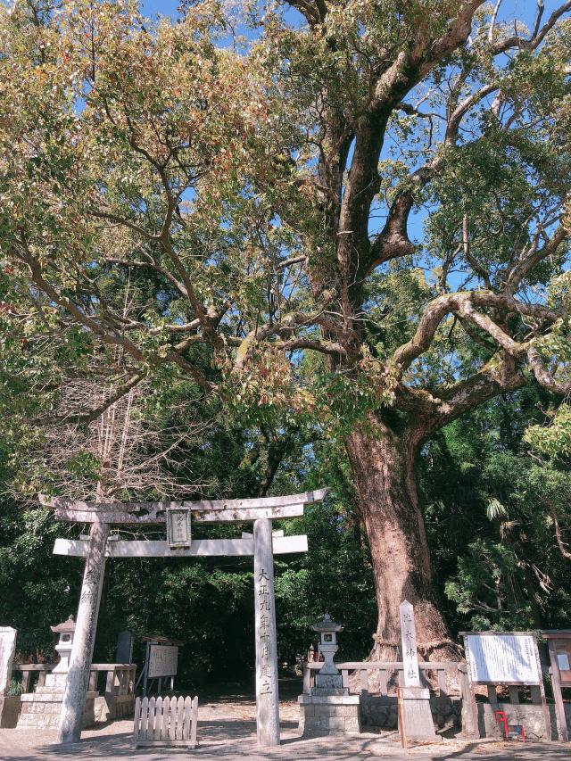 比木神社の参拝記録( 14th moonさん)