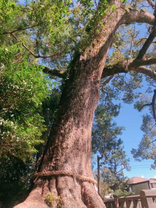 比木神社の参拝記録( 14th moonさん)