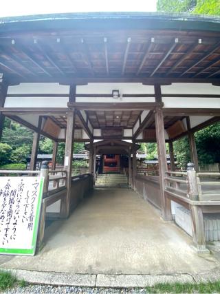 諸羽神社の参拝記録(さくらさん)