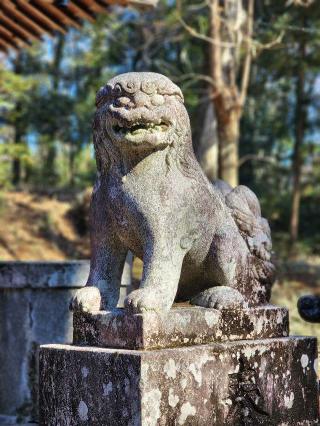 住吉神社の参拝記録(たけちゃ～ん⚾さん)
