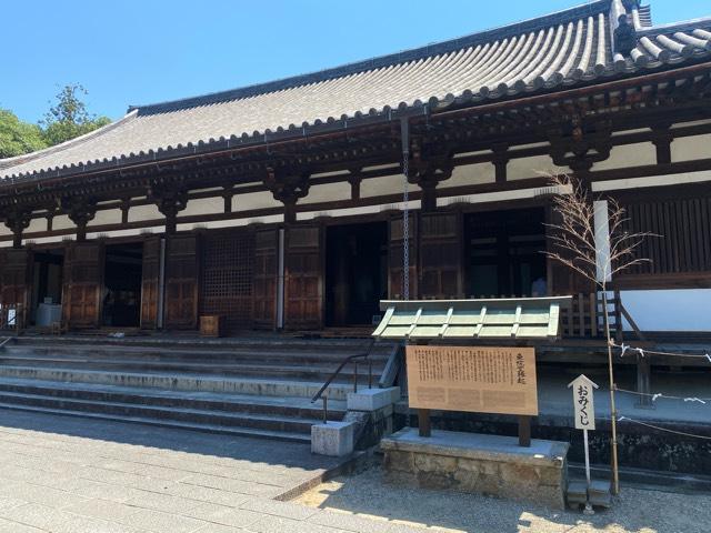 奈良県奈良市西ノ京町457 薬師寺 東院堂の写真2