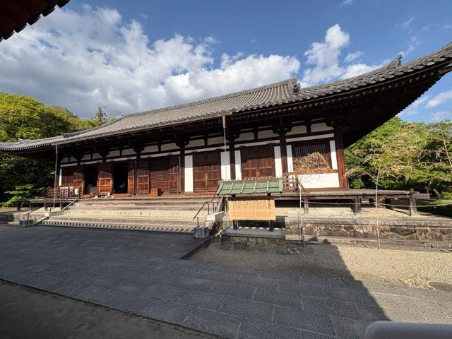 薬師寺 東院堂の参拝記録7