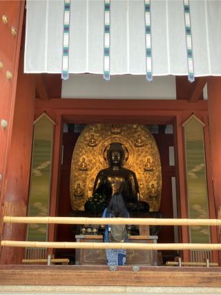 薬師寺 大講堂の参拝記録(senwayさん)