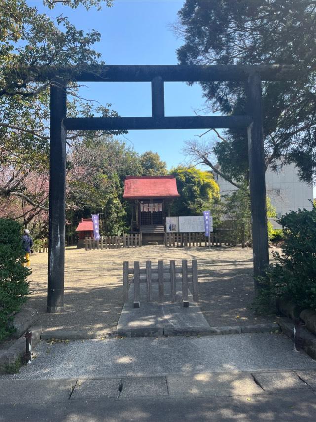 宮崎県宮崎市永楽町85 瀬頭神社の写真2
