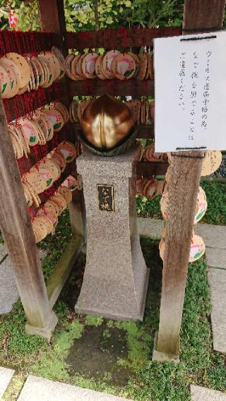 目の神社（行田八幡神社境内）の参拝記録(sshimiさん)