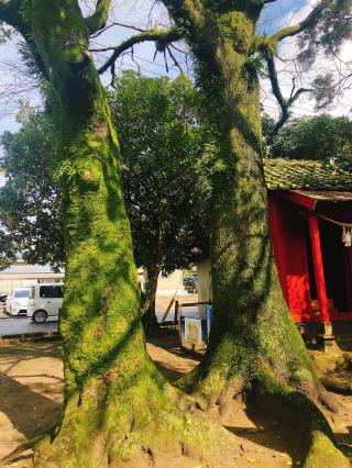 岩ヶ瀬水神神社の参拝記録( 14th moonさん)