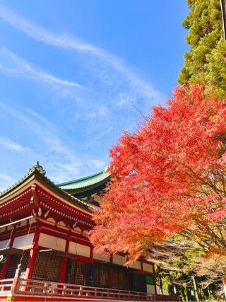 比叡山延暦寺 大講堂の参拝記録(ヒデさん)