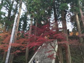 比叡山延暦寺 根本中堂の参拝記録(川さん)